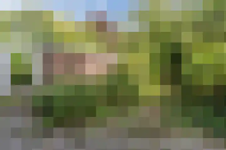 Oosterpark 1 Assen thumbnail 27