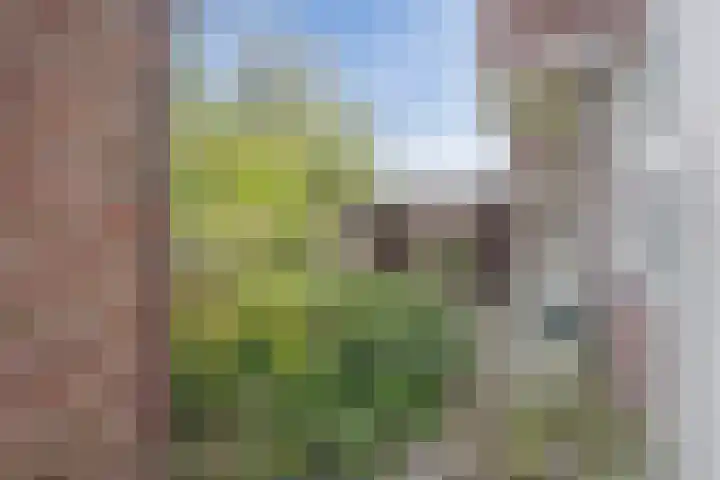 Oosterpark 1 Assen thumbnail 28