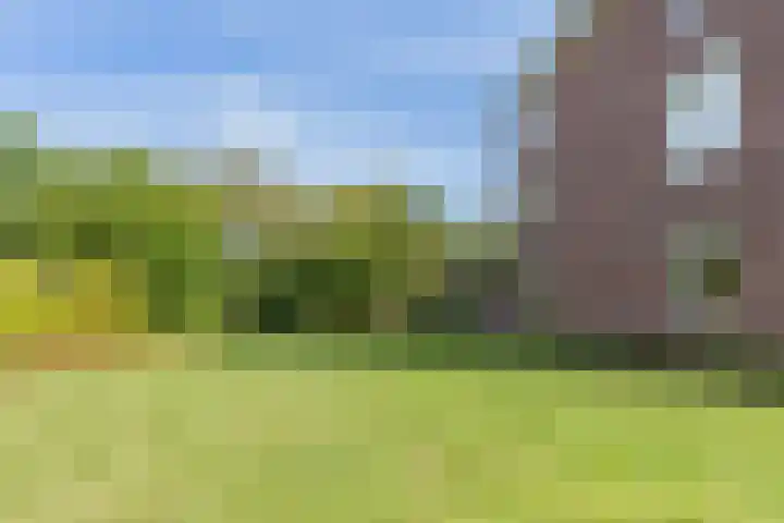 Oosterpark 1 Assen thumbnail 29
