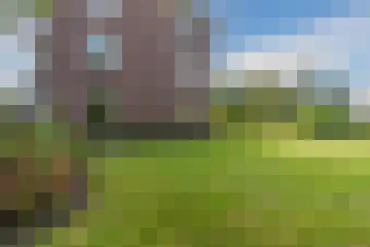 Oosterpark 1 Assen thumbnail 30