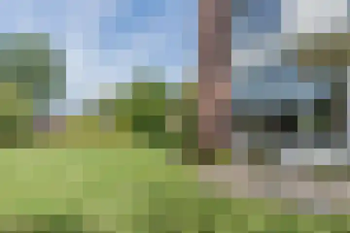 Oosterpark 1 Assen thumbnail 31