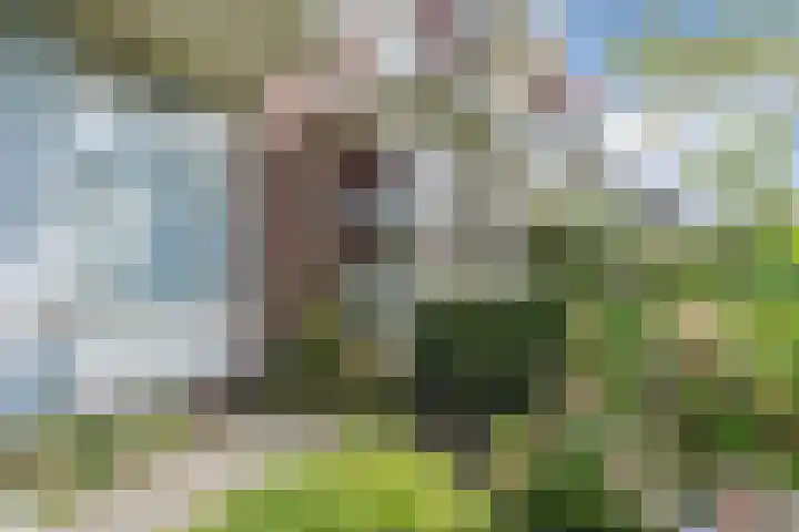 Oosterpark 1 Assen thumbnail 32