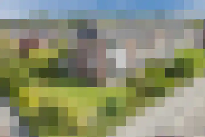 Oosterpark 1 Assen thumbnail 33