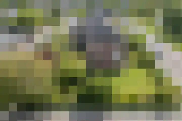 Oosterpark 1 Assen thumbnail 34