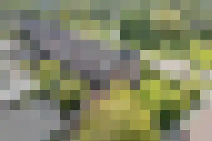 Oosterpark 1 Assen thumbnail 35