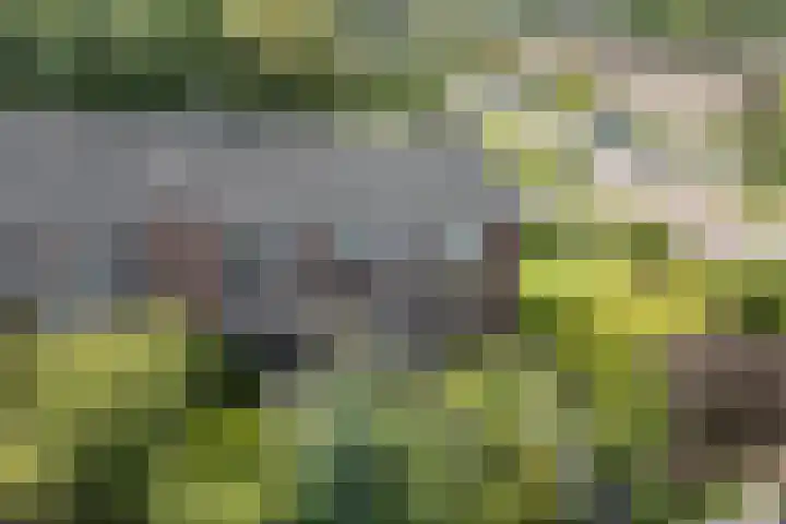 Oosterpark 1 Assen thumbnail 36