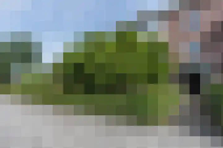 Oosterpark 1 Assen thumbnail 5