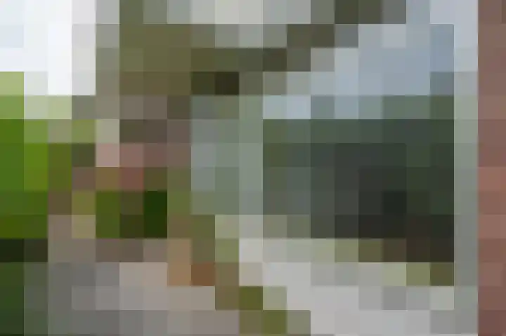 Oosterpark 19 Assen thumbnail 22