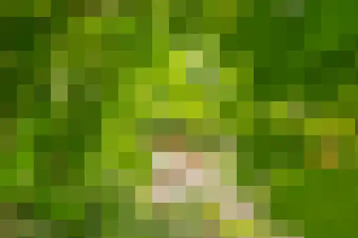 Oosterpark 19 Assen thumbnail 23