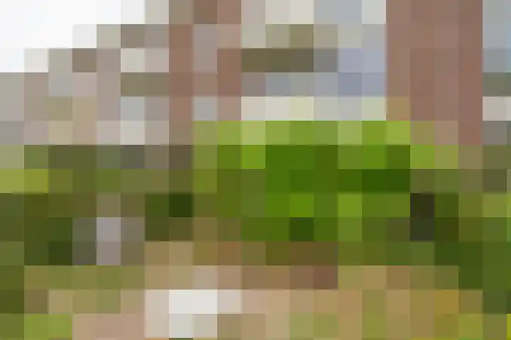 Oosterpark 19 Assen thumbnail 24