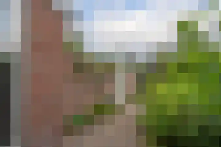 Oosterpark 19 Assen thumbnail 38