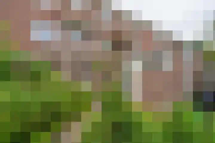 Oosterpark 19 Assen thumbnail 43