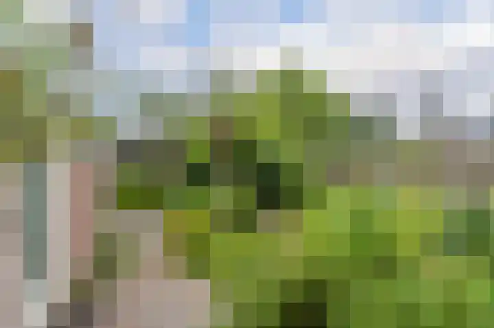 Oosterpark 19 Assen thumbnail 44