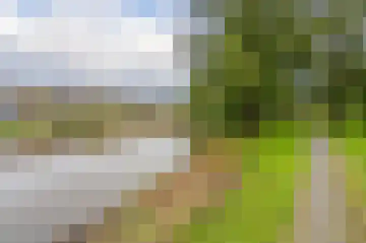Oosterpark 19 Assen thumbnail 56
