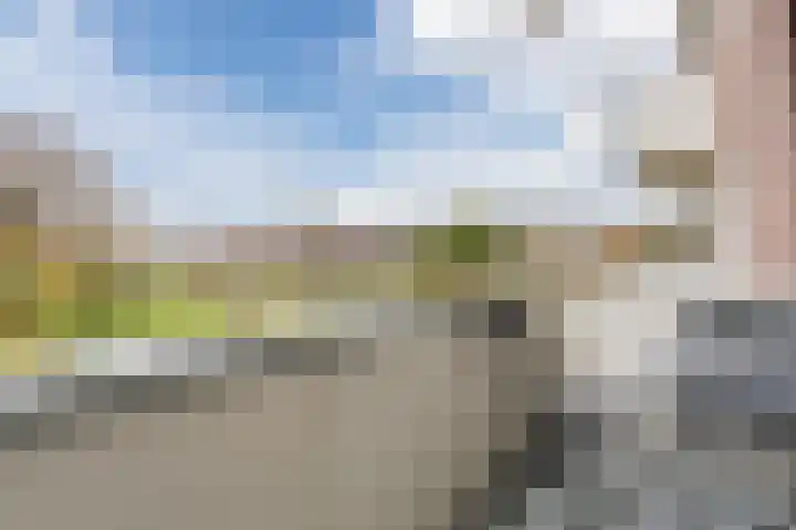 Oosterpark 21 Assen thumbnail 26