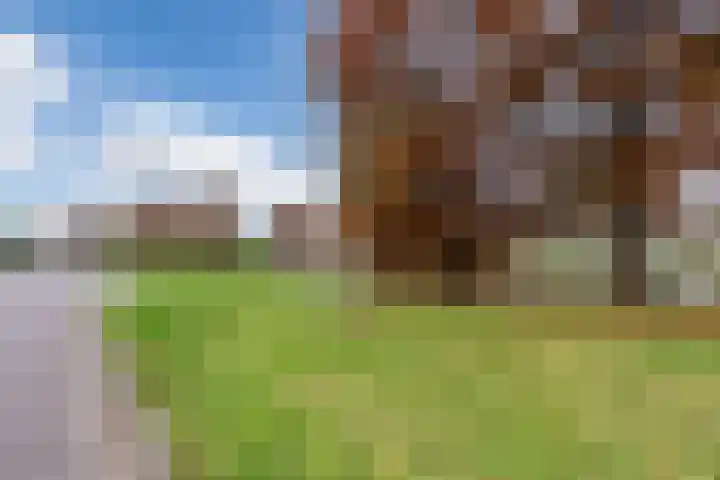 Oosterpark 21 Assen thumbnail 28