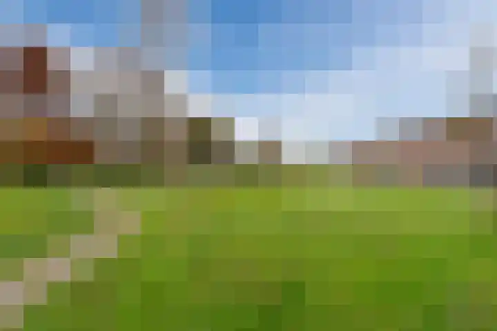 Oosterpark 21 Assen thumbnail 29