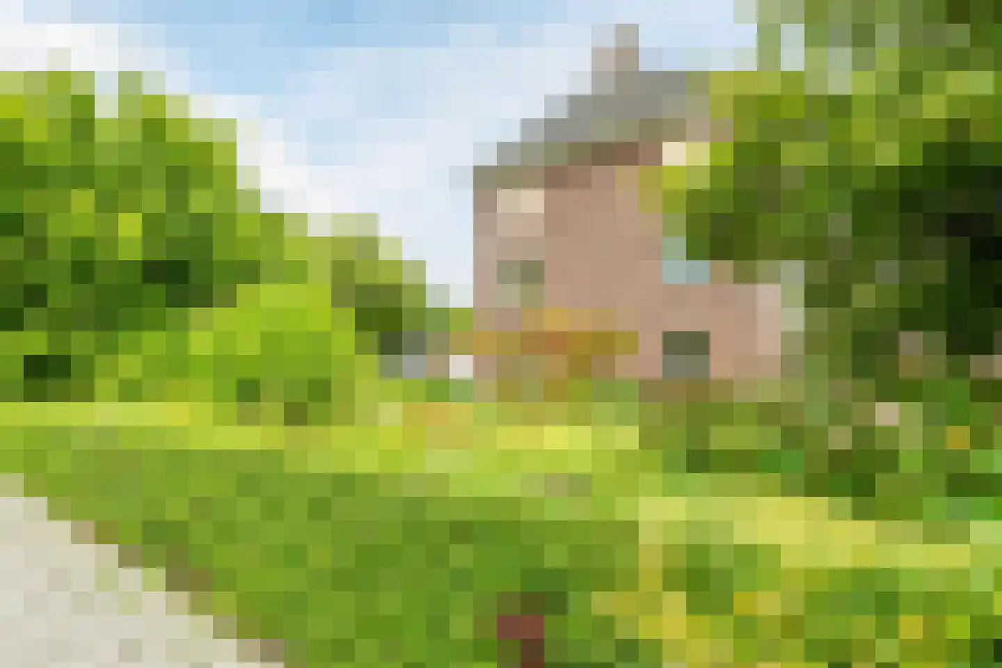 Oosterpark 3 Assen thumbnail 25