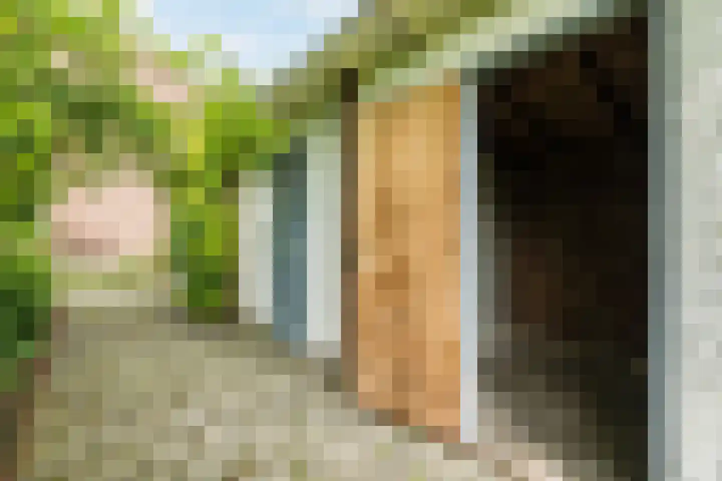 Oosterpark 3 Assen thumbnail 27