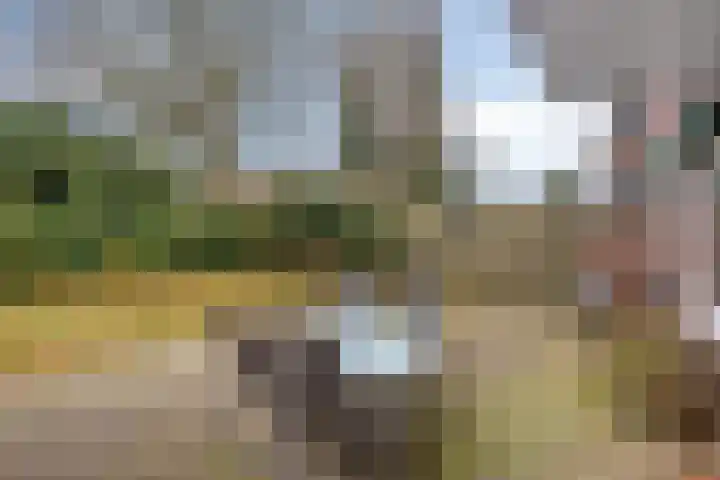 Oosterpark 32 Assen thumbnail 22