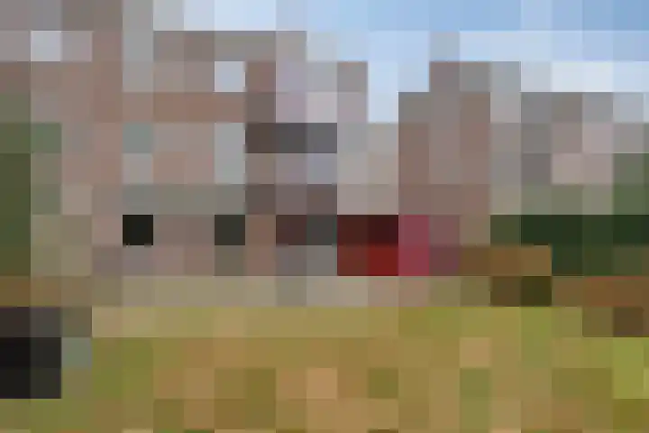 Oosterpark 32 Assen thumbnail 26