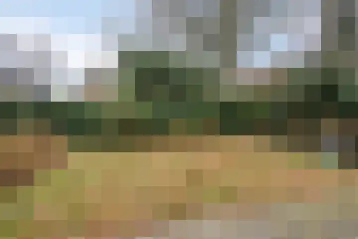 Oosterpark 32 Assen thumbnail 27
