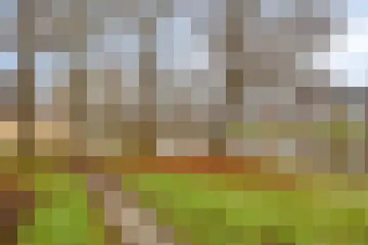 Oosterpark 32 Assen thumbnail 29