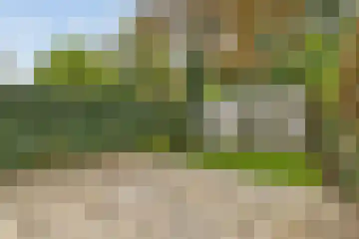 Oosterpark 33 B Amsterdam thumbnail 27