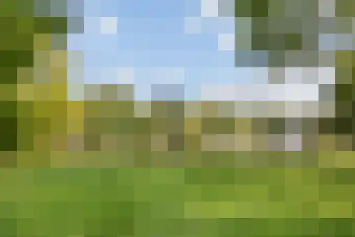 Oosterpark 33 B Amsterdam thumbnail 31