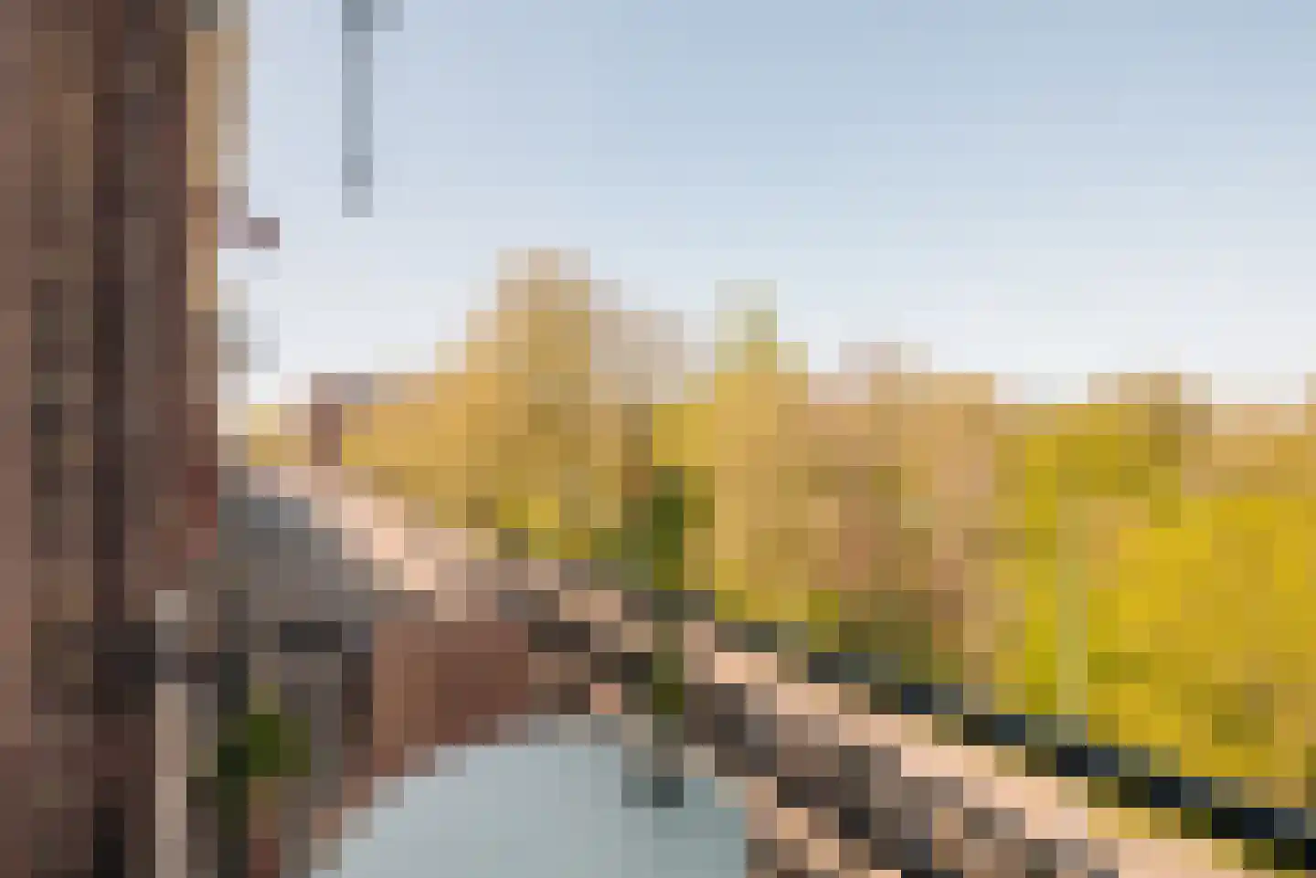 Oosterpark 33 D Amsterdam thumbnail 10