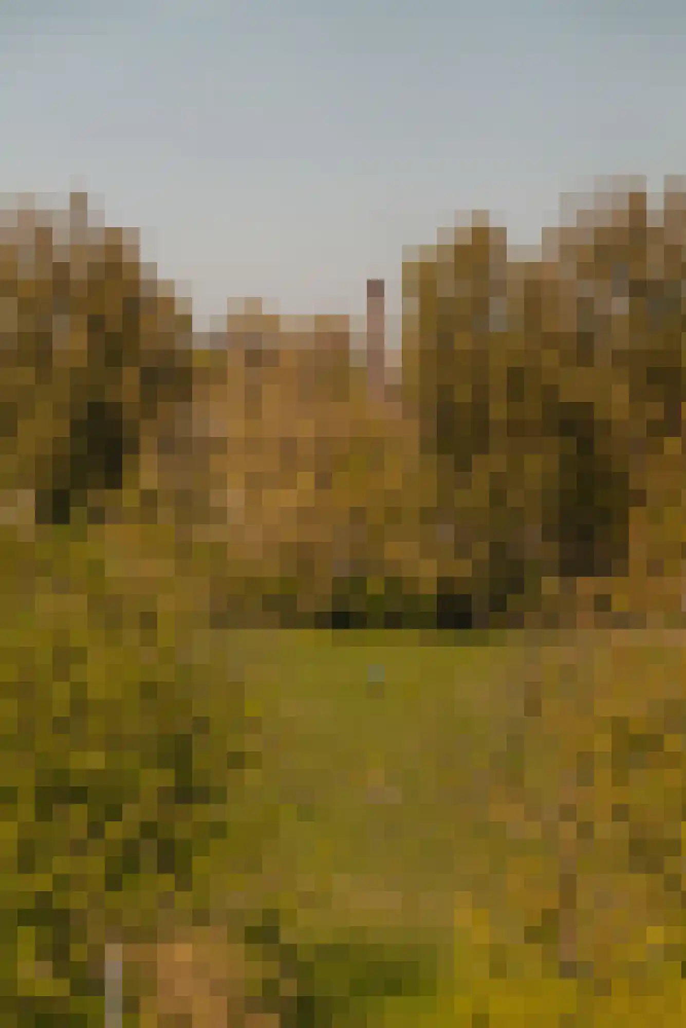 Oosterpark 33 D Amsterdam thumbnail 12