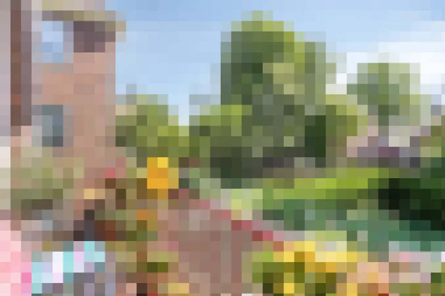 Oosterpark 34 Assen thumbnail 23