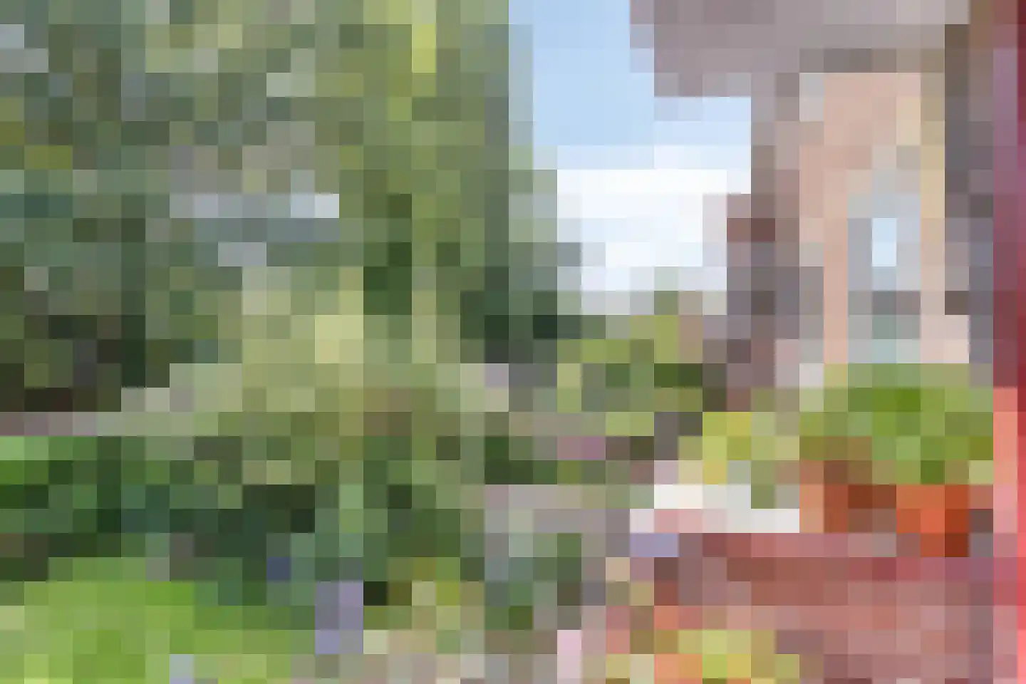 Oosterpark 34 Assen thumbnail 24