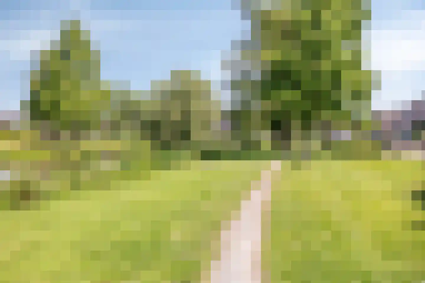 Oosterpark 34 Assen thumbnail 34