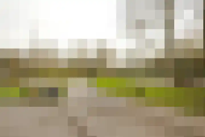 Oosterpark 35 B Amsterdam thumbnail 28