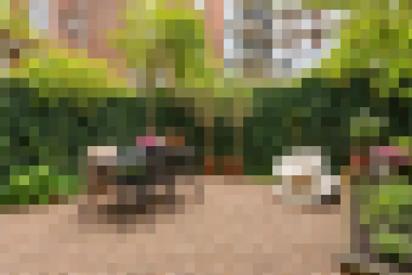 Oosterpark 47 H Amsterdam thumbnail 21