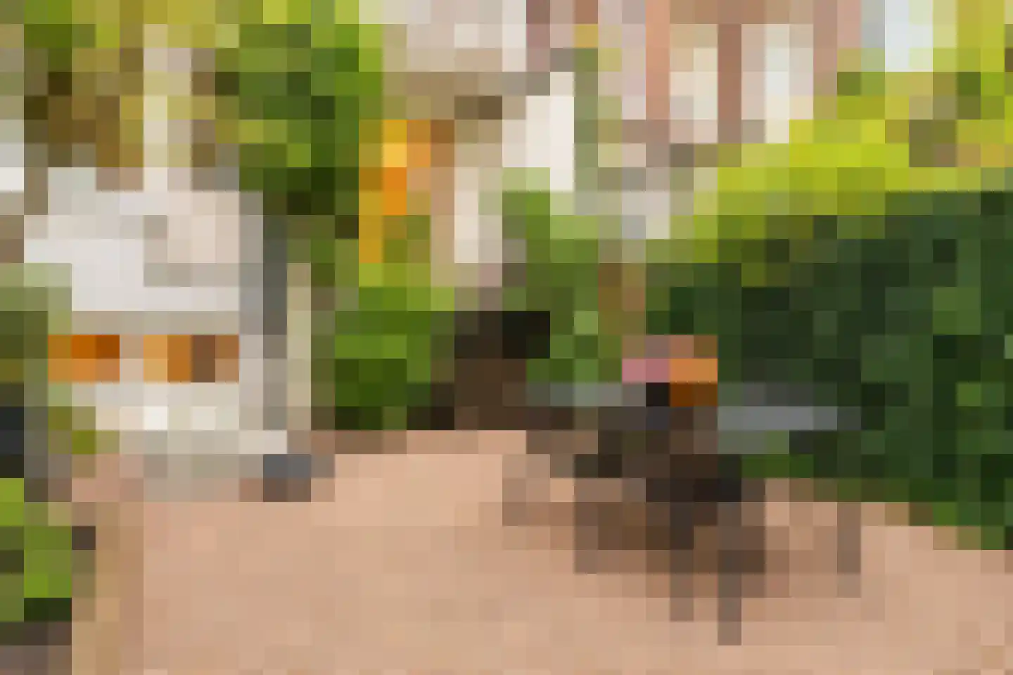 Oosterpark 47 H Amsterdam thumbnail 22