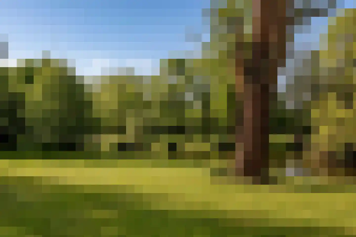 Oosterpark 53 C Amsterdam thumbnail 27