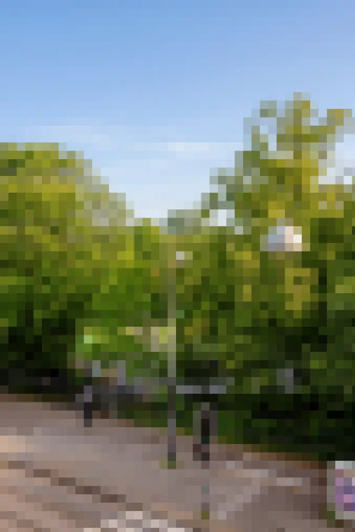 Oosterpark 53 C Amsterdam thumbnail 9