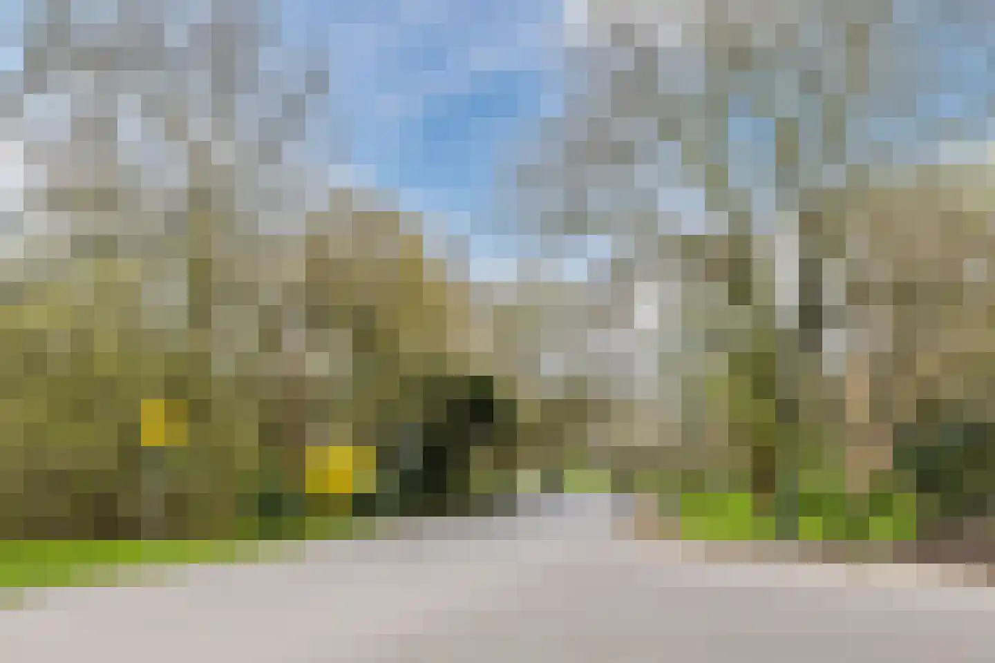 Oosterpark 64 H Amsterdam thumbnail 12