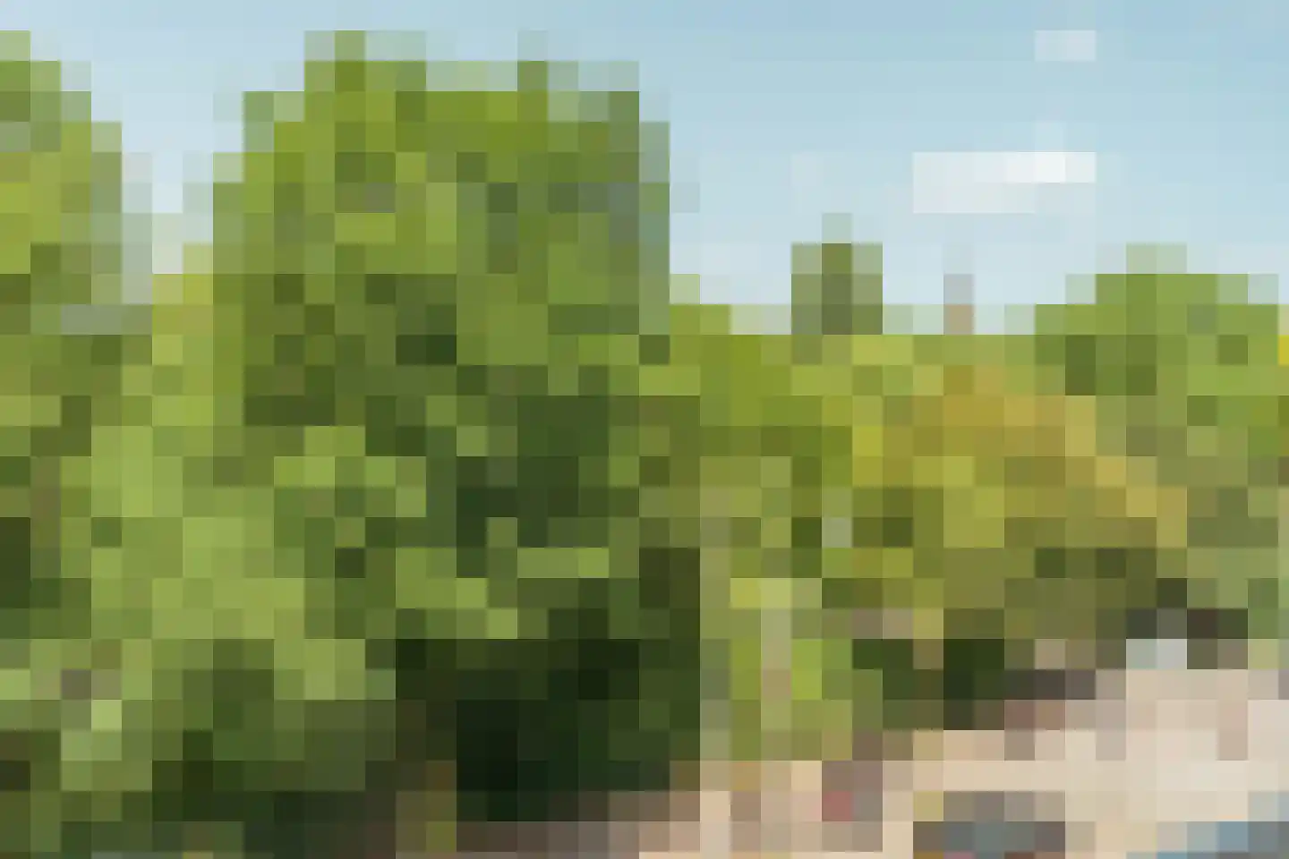Oosterpark 68 C Amsterdam thumbnail 18