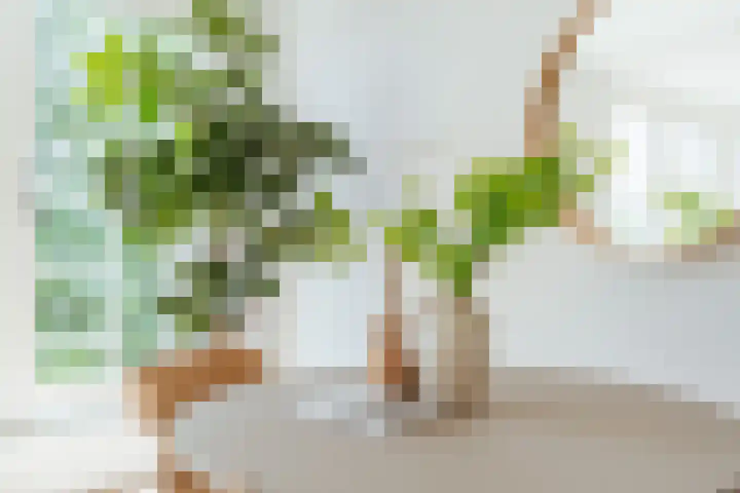 Oosterpark 68 C Amsterdam thumbnail 9