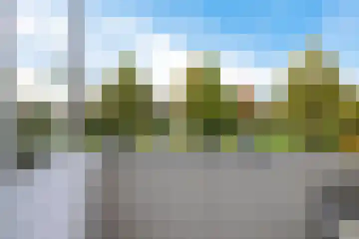 Oosterpark 87 Assen thumbnail 35