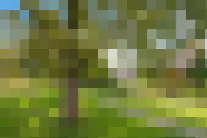 Oosterpark 87 Assen thumbnail 49
