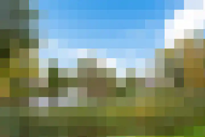 Oosterpark 87 Assen thumbnail 5