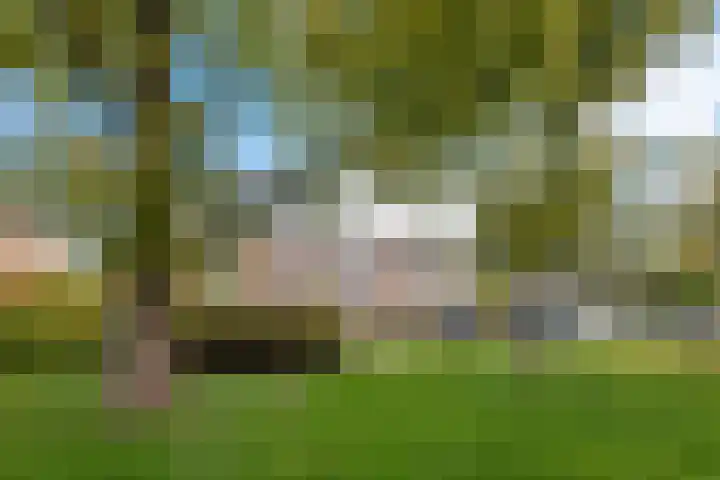 Oosterpark 87 Assen thumbnail 50