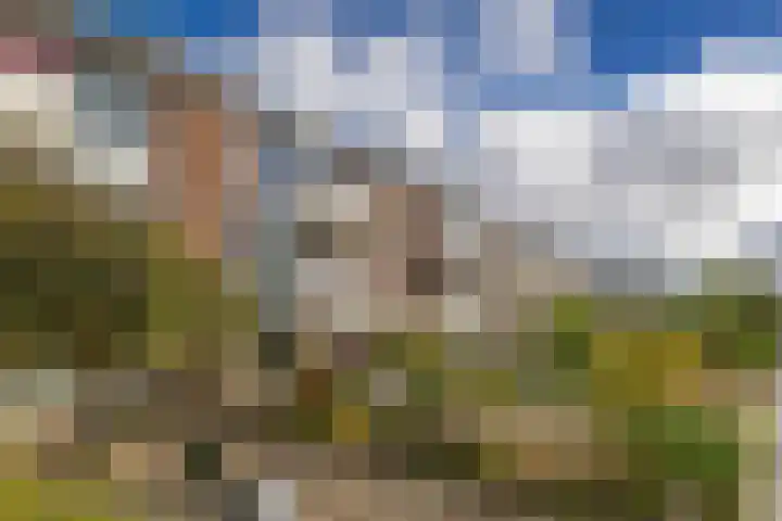 Oosterpark 87 Assen thumbnail 7