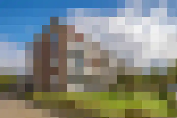 Oosterpark 87 Assen thumbnail 8