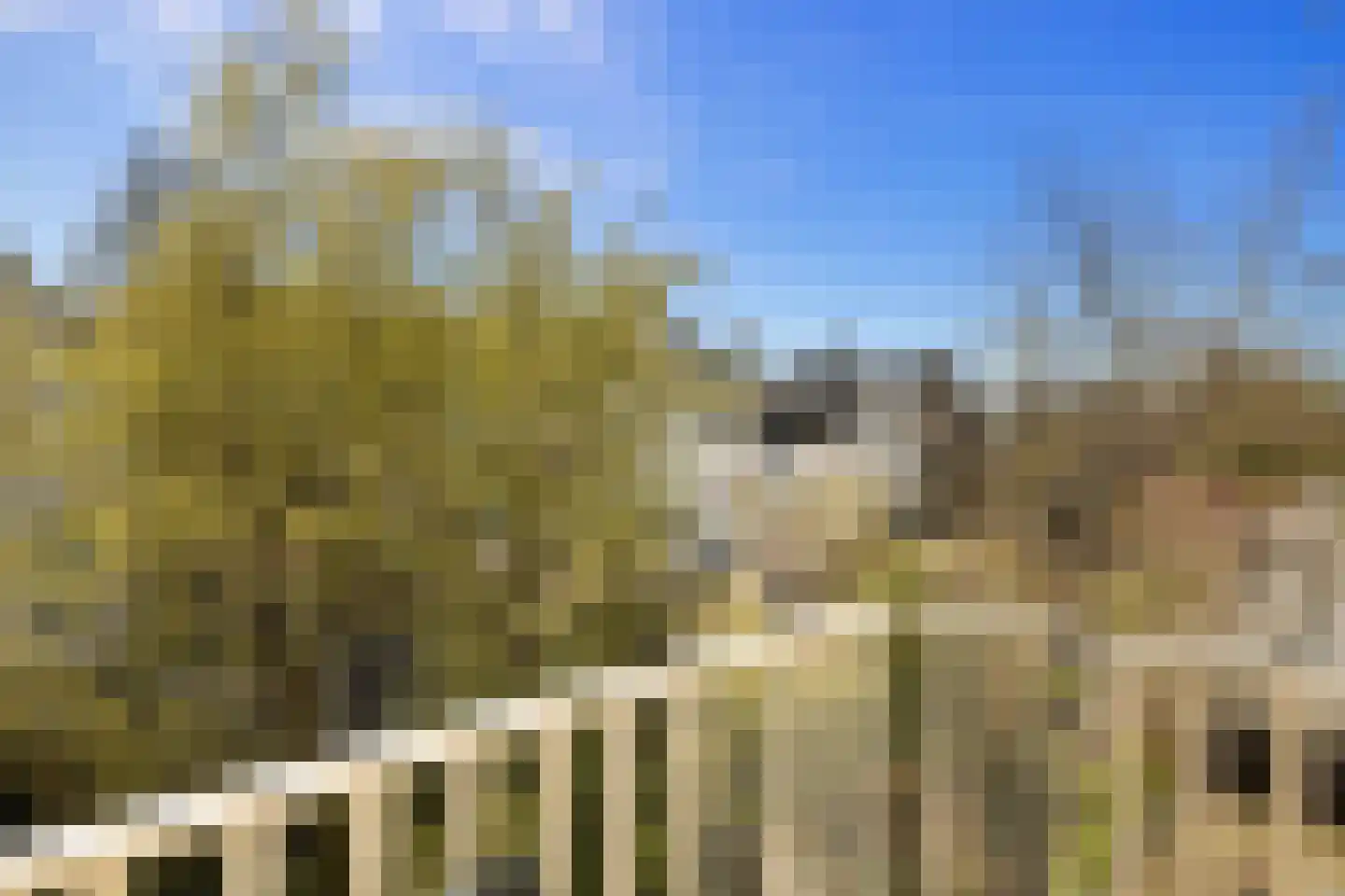Oosterpark 89 C Amsterdam thumbnail 21