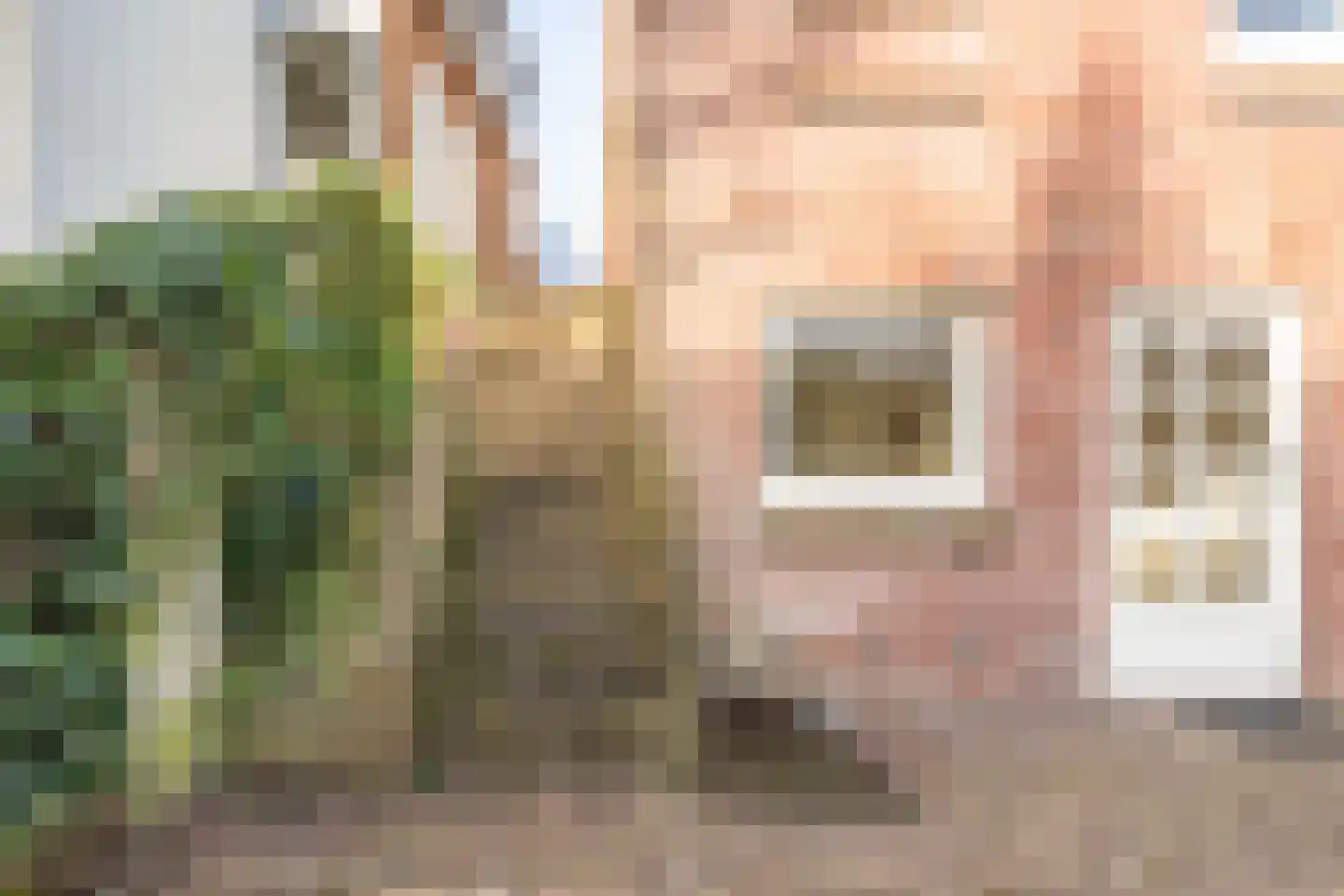 Oosterparkstraat 23 Zandvoort thumbnail 12